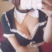 ヒメ日記 2025/06/17 04:01 投稿 こむぎ サンキュー沼津店（サンキューグループ）