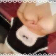 ヒメ日記 2025/06/24 04:11 投稿 こむぎ サンキュー沼津店（サンキューグループ）