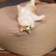 ヒメ日記 2025/10/11 17:57 投稿 るな あふたーすくーる本店