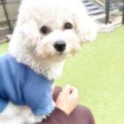 ヒメ日記 2025/11/08 13:52 投稿 るな あふたーすくーる本店