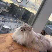 ヒメ日記 2026/01/25 15:31 投稿 るな あふたーすくーる本店