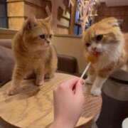 ヒメ日記 2026/02/14 17:30 投稿 るな あふたーすくーる本店