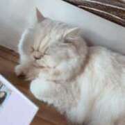 ヒメ日記 2026/02/15 18:20 投稿 るな あふたーすくーる本店