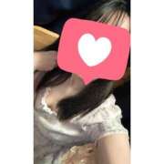 SAKURA/さくら しゅ シーファリ