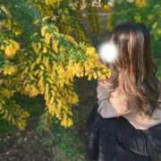 ヒメ日記 2026/04/18 11:15 投稿 かりん 東京メンズエステ-TokyoMensEsthe-