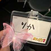 りか たいきんっ みつばちマーヤZ