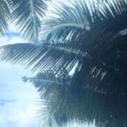 ヒメ日記 2025/09/22 01:11 投稿 にこ 木更津人妻花壇