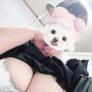 ヒメ日記 2025/06/08 15:18 投稿 るん ドMバスターズ 京都店