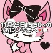 ヒメ日記 2025/11/24 15:17 投稿 しほ 岐阜岐南各務原ちゃんこ