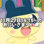 ヒメ日記 2025/11/28 18:20 投稿 しほ 岐阜岐南各務原ちゃんこ
