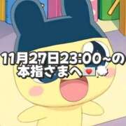 ヒメ日記 2025/11/28 20:17 投稿 しほ 岐阜岐南各務原ちゃんこ