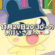 ヒメ日記 2025/11/30 15:19 投稿 しほ 岐阜岐南各務原ちゃんこ