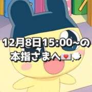 ヒメ日記 2025/12/09 16:07 投稿 しほ 岐阜岐南各務原ちゃんこ
