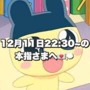 ヒメ日記 2025/12/12 18:19 投稿 しほ 岐阜岐南各務原ちゃんこ