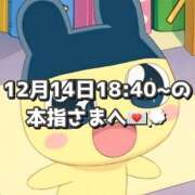 ヒメ日記 2025/12/15 17:22 投稿 しほ 岐阜岐南各務原ちゃんこ