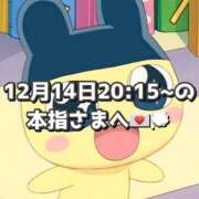 ヒメ日記 2025/12/15 19:17 投稿 しほ 岐阜岐南各務原ちゃんこ
