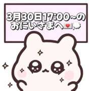 ヒメ日記 2026/03/31 18:17 投稿 しほ 岐阜岐南各務原ちゃんこ