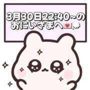 ヒメ日記 2026/04/01 19:07 投稿 しほ 岐阜岐南各務原ちゃんこ