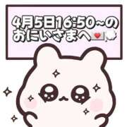 ヒメ日記 2026/04/06 21:13 投稿 しほ 岐阜岐南各務原ちゃんこ