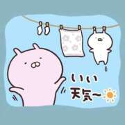 ヒメ日記 2026/04/11 16:17 投稿 しほ 岐阜岐南各務原ちゃんこ