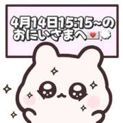 ヒメ日記 2026/04/15 19:17 投稿 しほ 岐阜岐南各務原ちゃんこ