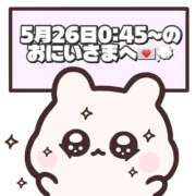 ヒメ日記 2026/05/28 17:17 投稿 しほ 岐阜岐南各務原ちゃんこ