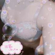 ヒメ日記 2025/07/13 09:20 投稿 はなび 奥様特急新潟店