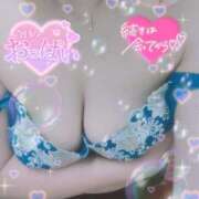 ヒメ日記 2025/07/24 02:20 投稿 はなび 奥様特急新潟店