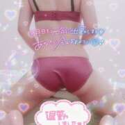 ヒメ日記 2025/07/27 08:20 投稿 はなび 奥様特急新潟店