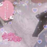 ヒメ日記 2025/08/17 14:20 投稿 はなび 奥様特急新潟店