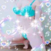 ヒメ日記 2026/02/20 09:30 投稿 はなび 奥様特急新潟店