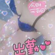 ヒメ日記 2025/08/02 09:23 投稿 はなび 奥様特急三条店