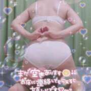 ヒメ日記 2025/08/11 12:23 投稿 はなび 奥様特急三条店