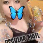 ヒメ日記 2025/07/09 15:07 投稿 ときこ ラブ・アンド・ラブ