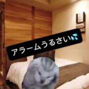 ヒメ日記 2025/07/10 08:25 投稿 ときこ ラブ・アンド・ラブ