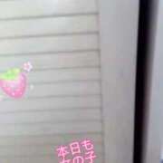 ヒメ日記 2025/07/12 07:51 投稿 ときこ ラブ・アンド・ラブ