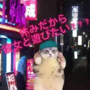 ヒメ日記 2025/07/12 22:05 投稿 ときこ ラブ・アンド・ラブ