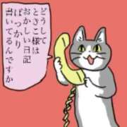 ヒメ日記 2025/07/13 09:34 投稿 ときこ ラブ・アンド・ラブ