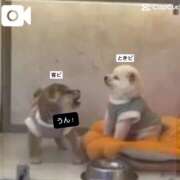 ヒメ日記 2025/07/14 10:25 投稿 ときこ ラブ・アンド・ラブ