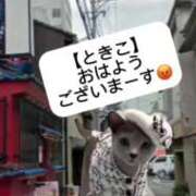 ヒメ日記 2025/08/28 07:45 投稿 ときこ ラブ・アンド・ラブ