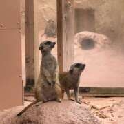 ヒメ日記 2025/08/08 14:30 投稿 ゆうか an_an（アンアン）