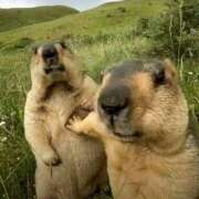 ヒメ日記 2025/08/29 19:07 投稿 ゆうか an_an（アンアン）