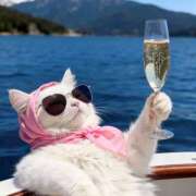 ヒメ日記 2026/01/07 18:40 投稿 ゆうか an_an（アンアン）