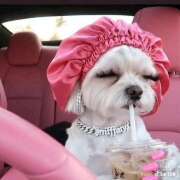 ヒメ日記 2026/01/12 13:57 投稿 ゆうか an_an（アンアン）