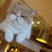 ヒメ日記 2025/12/07 12:48 投稿 れいか ノーパンエステ!?絶頂させる天使たち