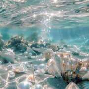 ヒメ日記 2025/07/08 22:52 投稿 翠(すい) 難波泡洗体ハイブリッドエステ