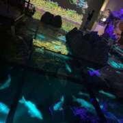 ヒメ日記 2025/08/29 09:35 投稿 あいか Beppin house