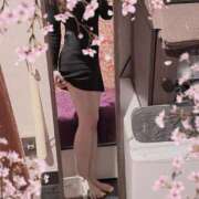 ヒメ日記 2026/04/11 11:20 投稿 あいか Beppin house