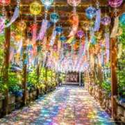 ヒメ日記 2026/08/23 08:52 投稿 あいか Beppin house