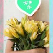 ヒメ日記 2025/11/08 07:57 投稿 あやめ 人妻小旅行